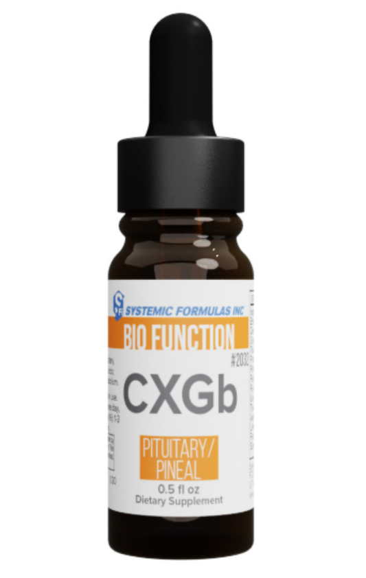 CXGb Pituitary/Pineal