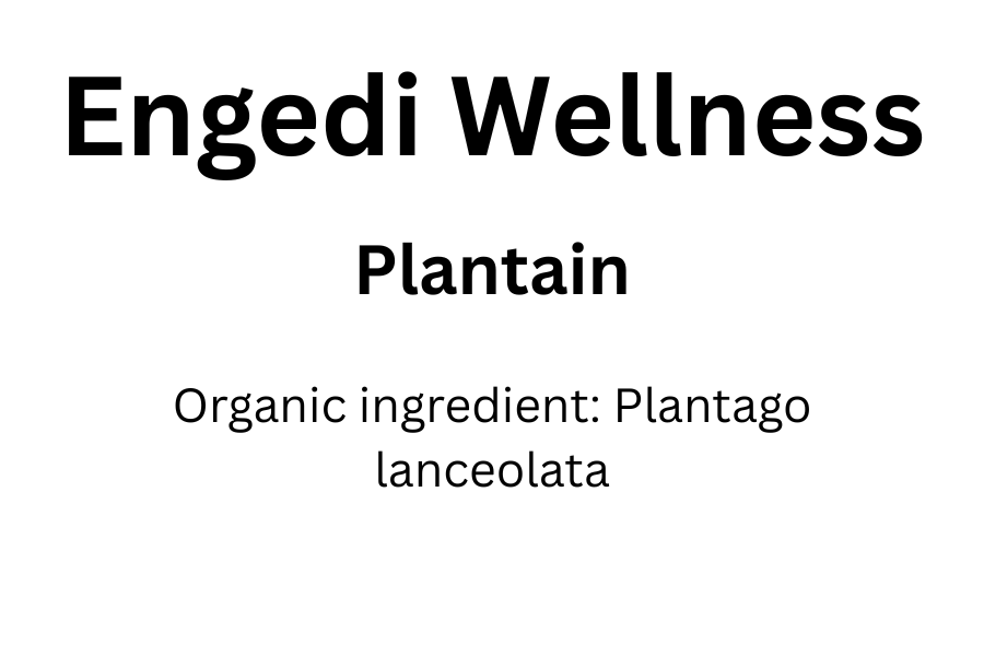 Plantain