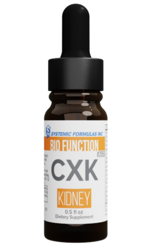 CXK Kidney