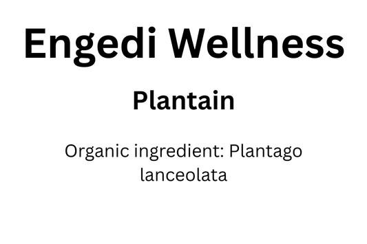 Plantain